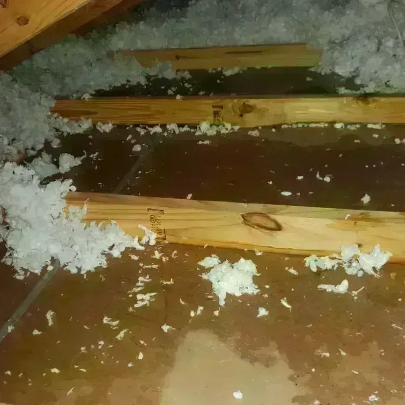 Attic Water Damage in Collegeville, MN