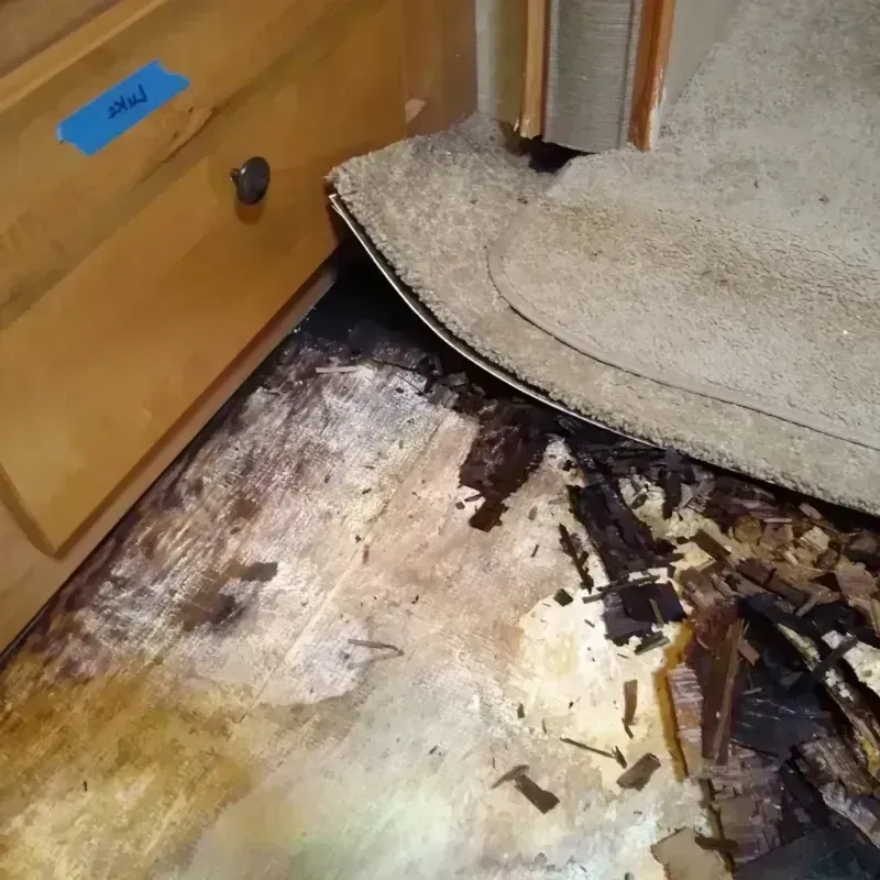 Best Wood Floor Water Damage Service in Collegeville, MN